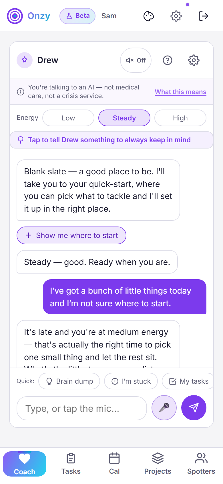 Onzy's Coach screen with an Energy row offering Low, Steady, and High just above the coach's messages.